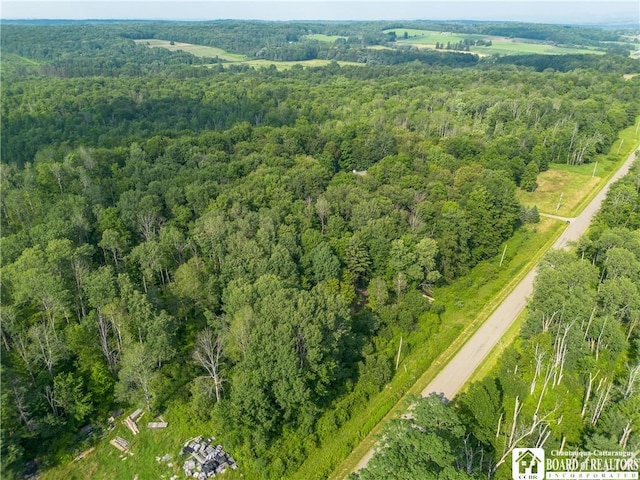 00 Nutt Rd, Busti, NY 14701 - photo 6