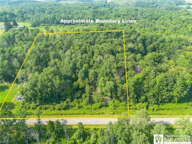 00 Nutt Rd, Busti, NY 14701 - photo 1