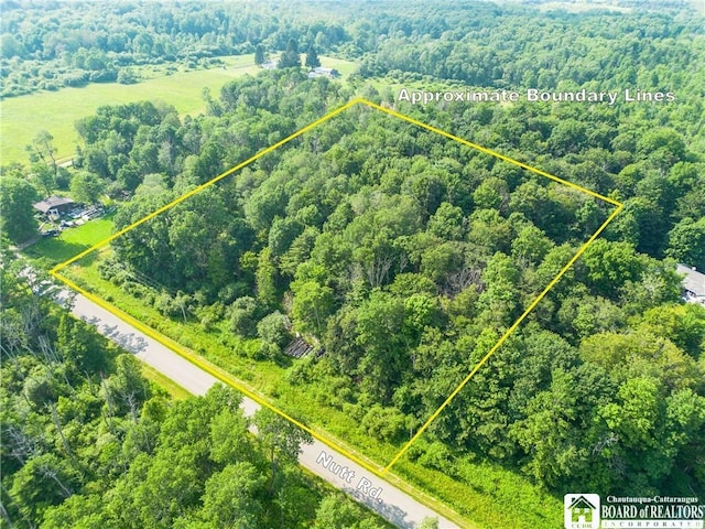 00 Nutt Rd, Busti, NY 14701 - photo 2