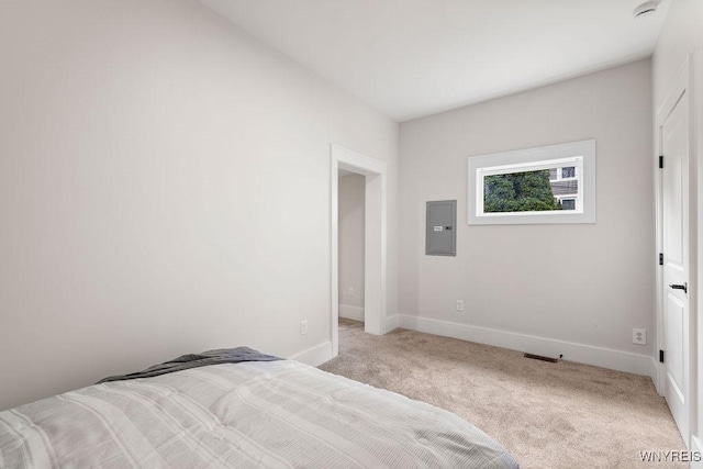 145 14th St, Buffalo, NY 14213 - bedroom with electric panel and light colored carpet