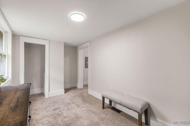 145 14th St, Buffalo, NY 14213 - sitting room with light carpet and electric panel
