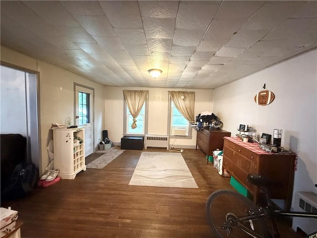 8 Church St, Waterloo, NY 13165 - interior space featuring radiator heating unit, plenty of natural light, and wood finished floors