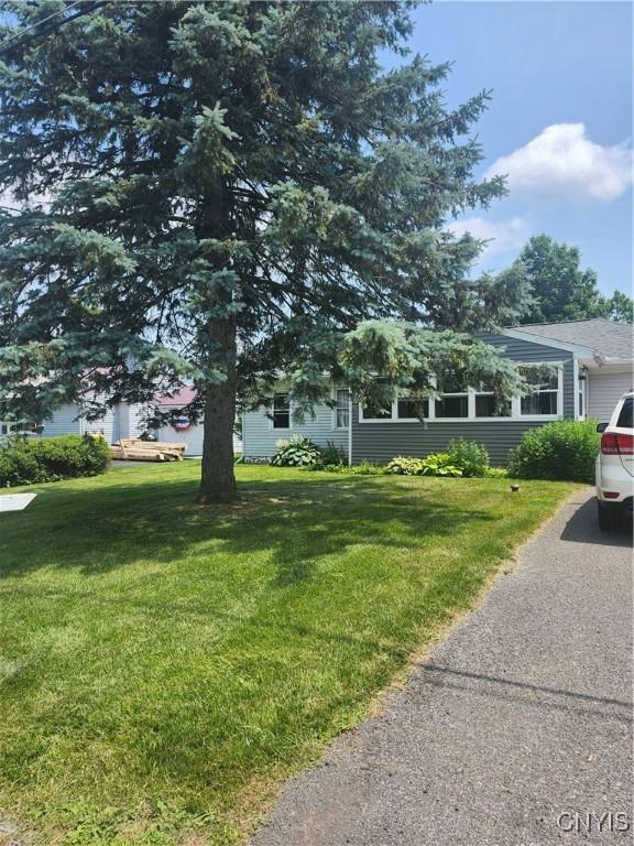 219 Camillus Dr, Camillus, NY 13031 - view of front of home with a front yard