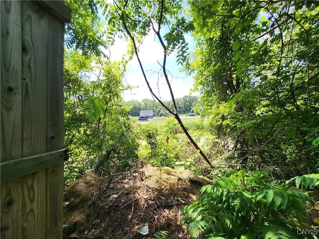 128 Dorando Way, Salina, NY 13090 - view of yard