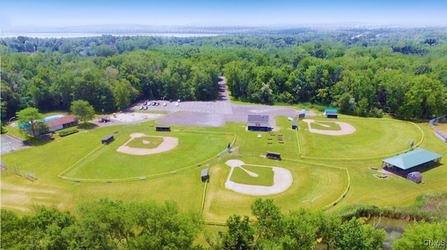 128 Dorando Way, Salina, NY 13090 - bird's eye view of a heavily wooded area