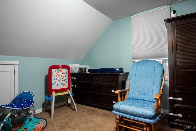 123 Branch St, Deerfield, NY 13502 - living area featuring lofted ceiling and carpet floors