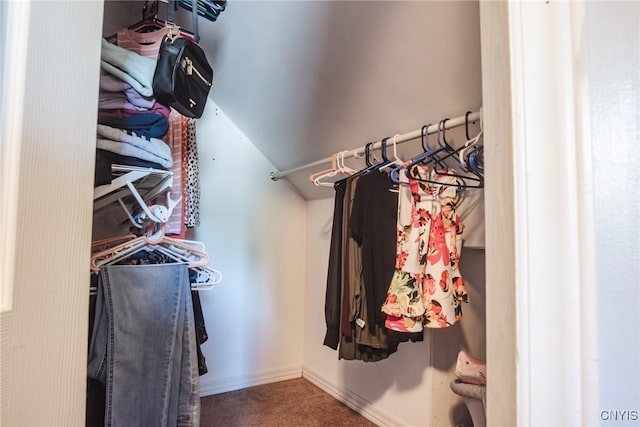 123 Branch St, Deerfield, NY 13502 - spacious closet with carpet floors and lofted ceiling