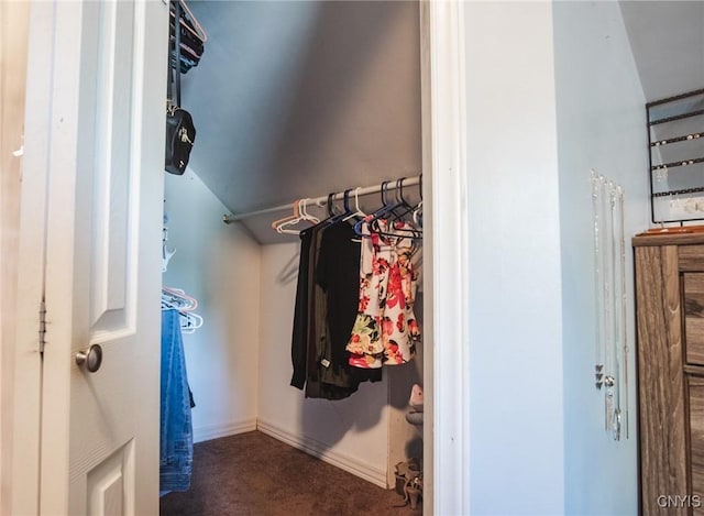 123 Branch St, Deerfield, NY 13502 - spacious closet with carpet floors and vaulted ceiling