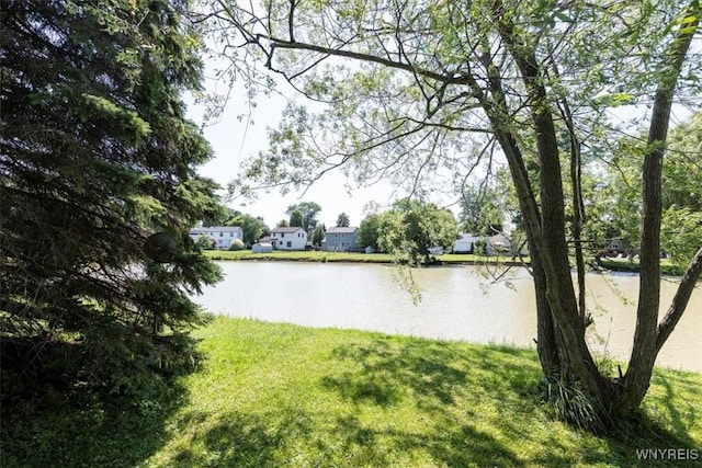 131 Shady Grove Dr, Amherst, NY 14051 - water view
