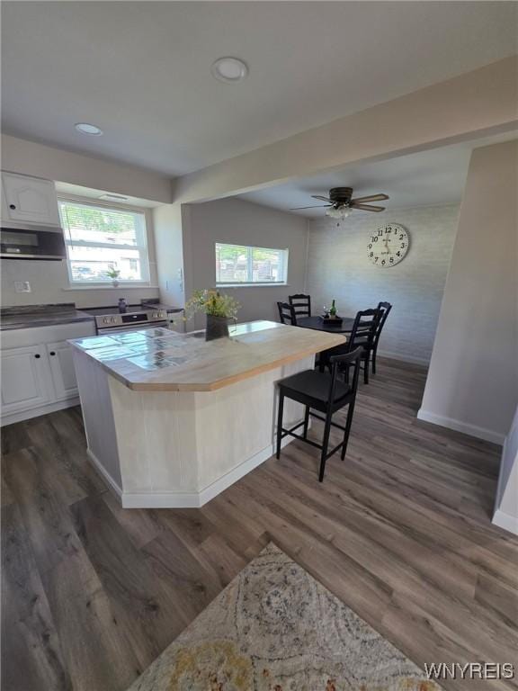 24 Wenonah, Tonawanda, NY 14150 - kitchen featuring white cabinets, exhaust hood, dark wood-style flooring, recessed lighting, and ceiling fan