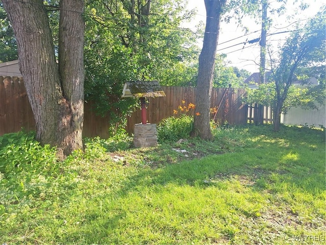 24 Wenonah, Tonawanda, NY 14150 - view of yard