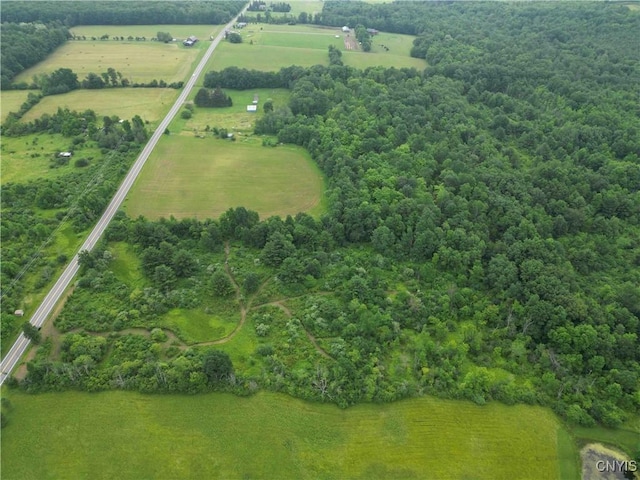 County Road 114, Wayne, NY 14840 - photo 4