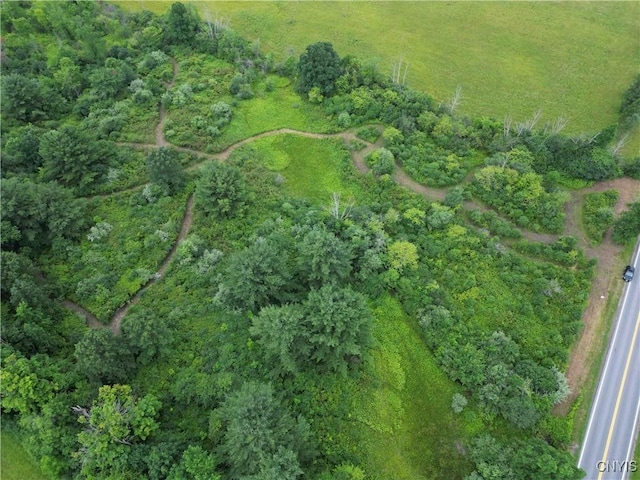 County Road 114, Wayne, NY 14840 - photo 6
