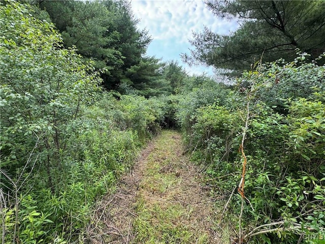 County Road 114, Wayne, NY 14840 - photo 10