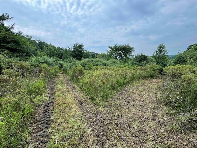 County Road 114, Wayne, NY 14840 - photo 11