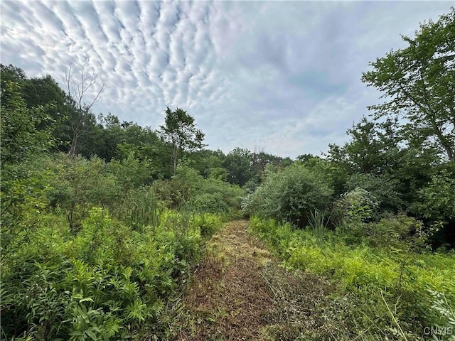 County Road 114, Wayne, NY 14840 - photo 12
