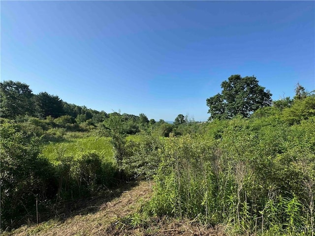 County Road 114, Wayne, NY 14840 - photo 16