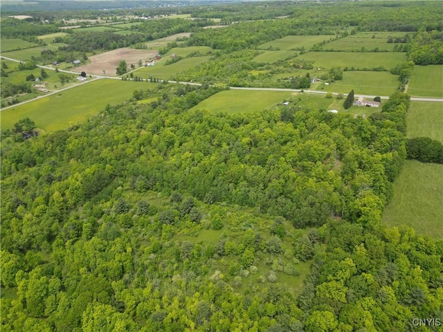 County Road 114, Wayne, NY 14840 - photo 19