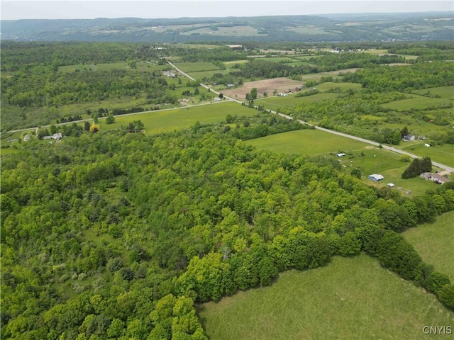 County Road 114, Wayne, NY 14840 - photo 20