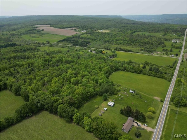 County Road 114, Wayne, NY 14840 - photo 22