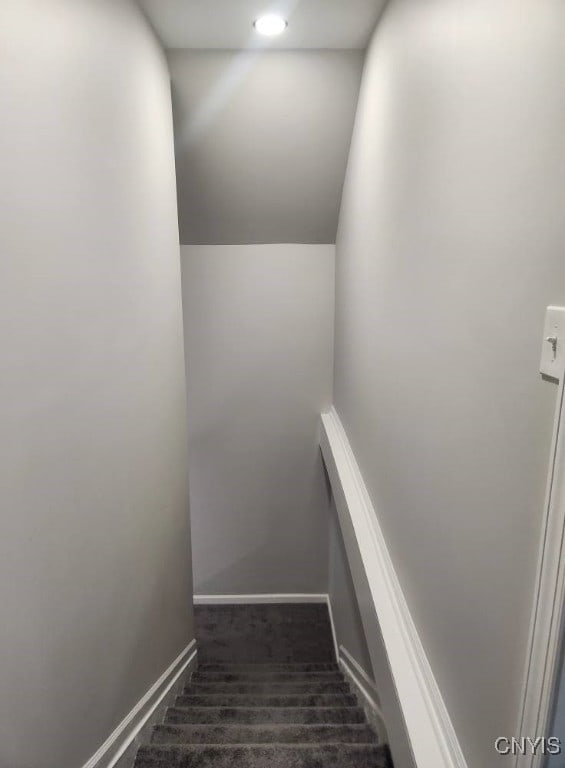 8457 S Main St, Le Ray, NY 13637 - stairway featuring carpet and baseboards