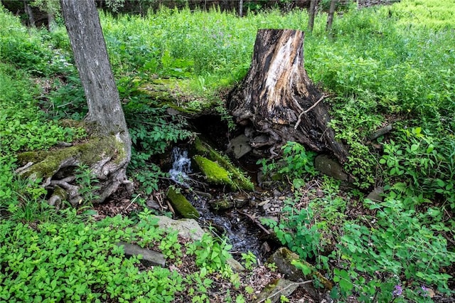 345 Dorr Edson Rd, Milford, NY 13820 - view of undeveloped land