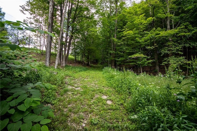 345 Dorr Edson Rd, Milford, NY 13820 - view of yard featuring a forest view