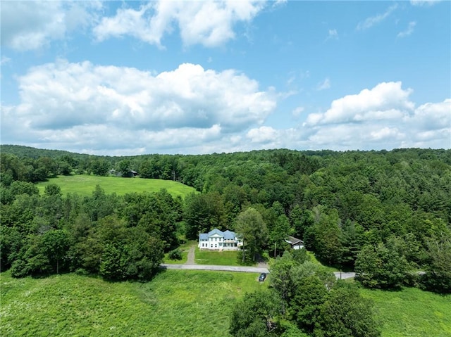 345 Dorr Edson Rd, Milford, NY 13820 - view of subject property featuring a forest