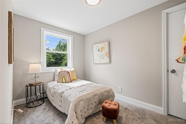 87 Ermann Dr, Tonawanda, NY 14217 - bedroom with carpet floors and baseboards