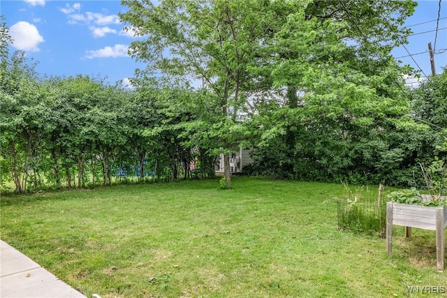 87 Ermann Dr, Tonawanda, NY 14217 - view of green lawn