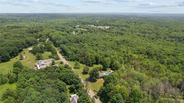1575 Overhead Rd, Evans, NY 14047 - aerial view of property's location with a forest