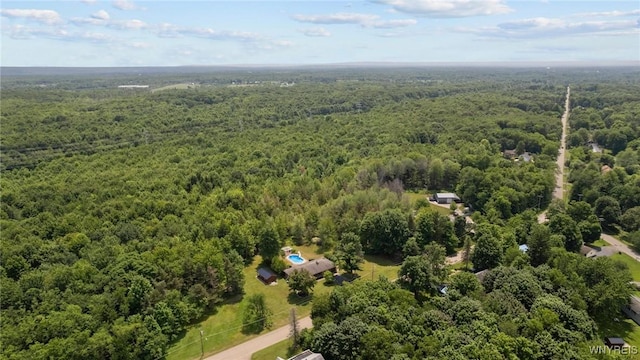 1575 Overhead Rd, Evans, NY 14047 - aerial view of a heavily wooded area