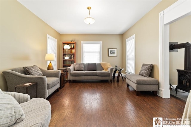 49 Day St, Pomfret, NY 14063 - living room with a wood stove and dark wood-type flooring
