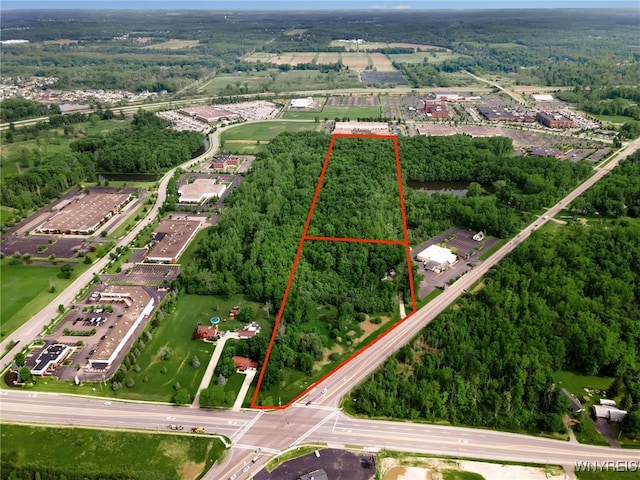 3400 Millersport Hwy, Amherst, NY 14068 - photo 2