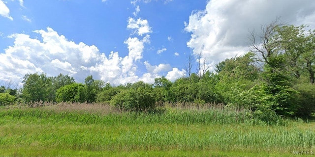 3400 Millersport Hwy, Amherst, NY 14068 - photo 3