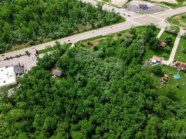 3400 Millersport Hwy, Amherst, NY 14068 - photo 14