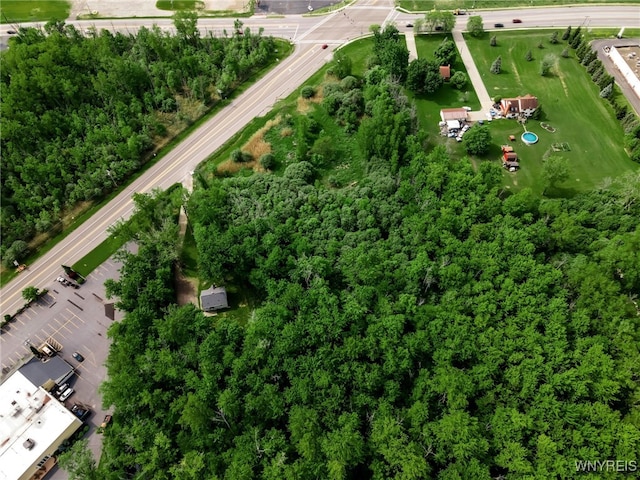 3400 Millersport Hwy, Amherst, NY 14068 - photo 16