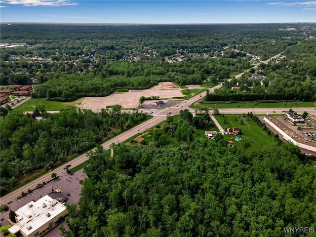 3400 Millersport Hwy, Amherst, NY 14068 - photo 17