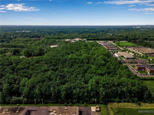 3400 Millersport Hwy, Amherst, NY 14068 - photo 27