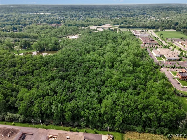 3400 Millersport Hwy, Amherst, NY 14068 - photo 28