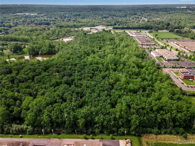 3400 Millersport Hwy, Amherst, NY 14068 - photo 29