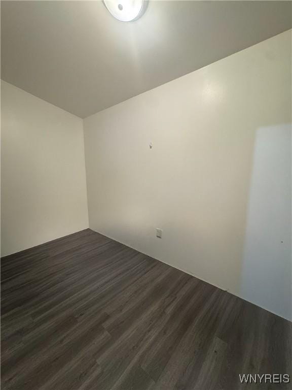 24 Northrup Pl, Buffalo, NY 14214 - bonus room with dark wood-style floors