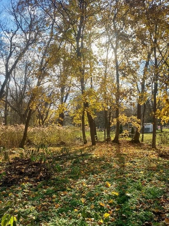 8 Ithaca St, Barton, NY 14892 - view of undeveloped land