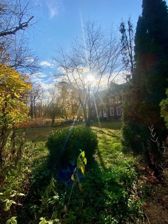 8 Ithaca St, Barton, NY 14892 - view of yard