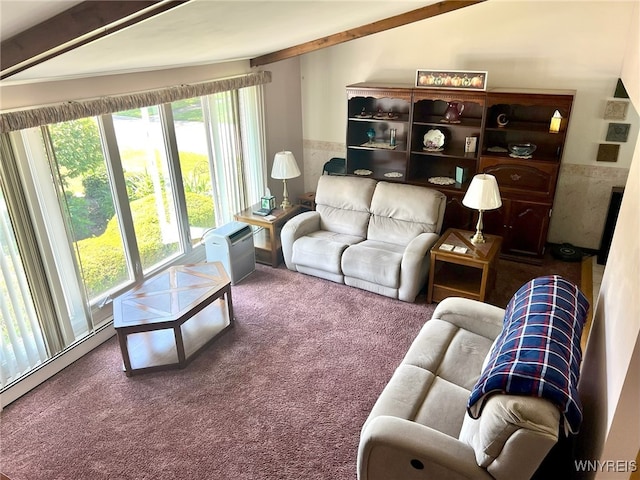 80 Jeffrey Dr, Amherst, NY 14228 - living area with carpet floors, a baseboard radiator, and wainscoting