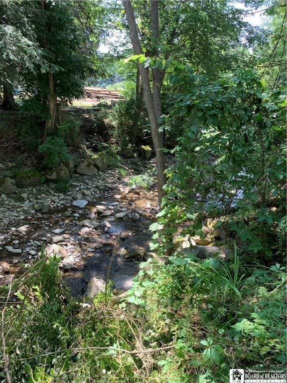 749-753 W Main, Ellington, NY 14732 - view of local wilderness