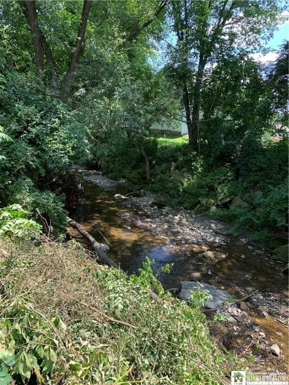 749-753 W Main, Ellington, NY 14732 - view of nature