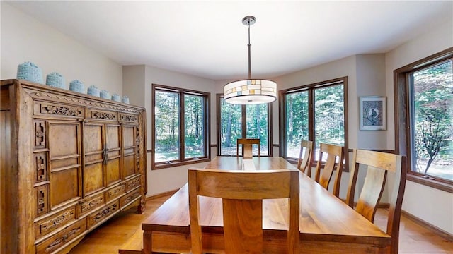 2657 Spencer Hill Rd, Corning, NY 14830 - dining space with healthy amount of natural light and light wood-style flooring