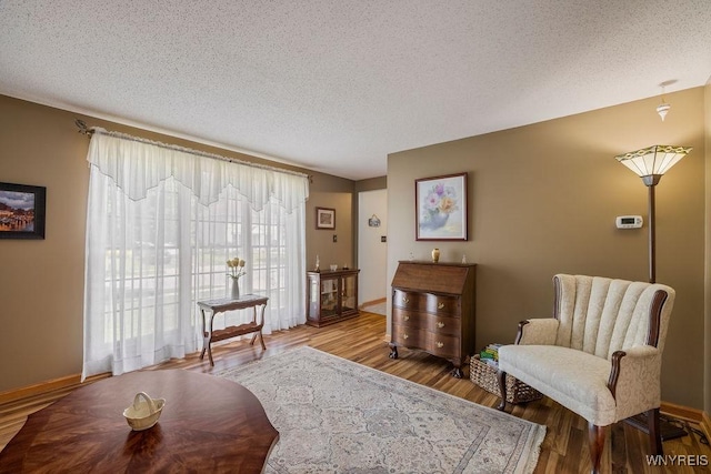 86 Hitching Post Ln, Amherst, NY 14228 - living area featuring wood finished floors and a textured ceiling
