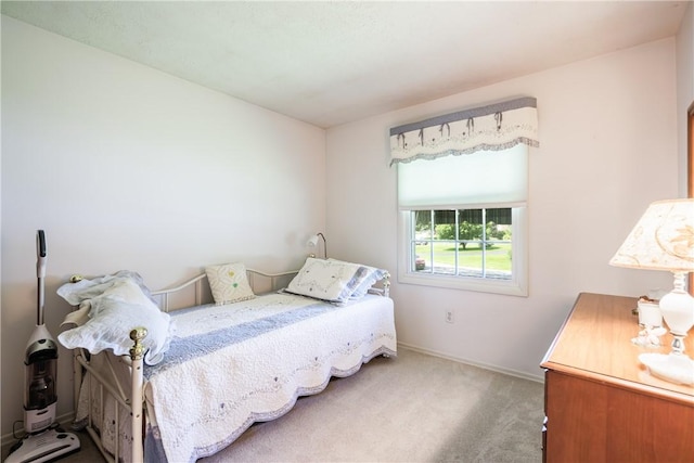 22 Red Leaf Dr, Chili, NY 14624 - bedroom with carpet flooring and baseboards
